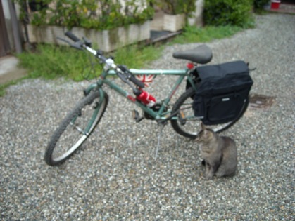 My bike and Giotto